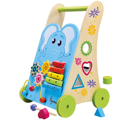 Activity Walker-FSC 100%