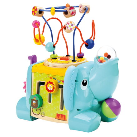 Motoric cube Elephant